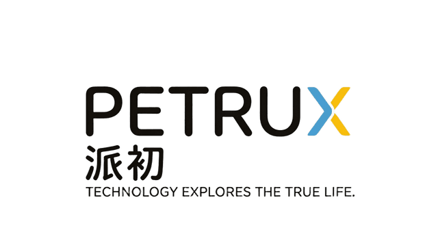 派初 Logo