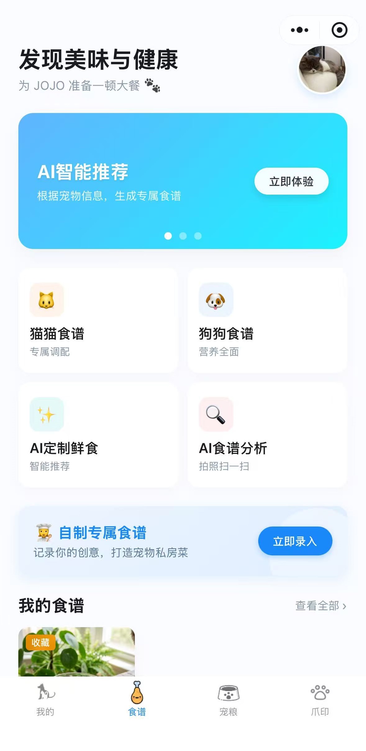 热门食谱